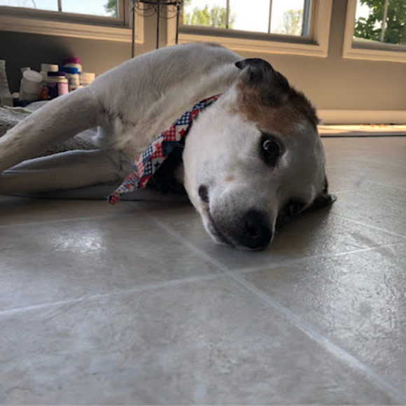 Meet your Posher, Kim - Picture 1 of 1